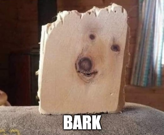 BARK | made w/ Imgflip meme maker