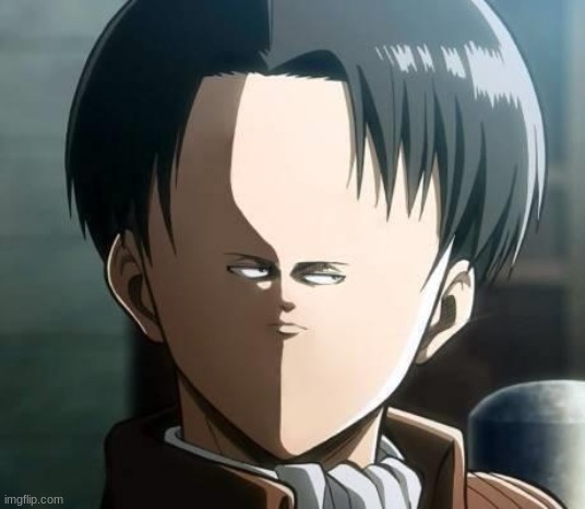 Small Levi Face | image tagged in small levi face | made w/ Imgflip meme maker