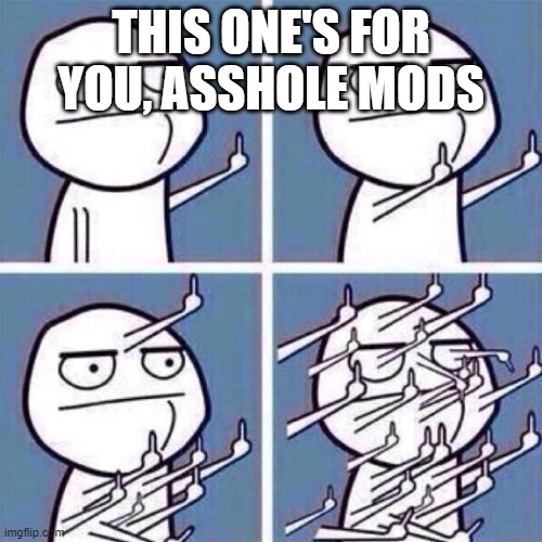 Middle Finger | THIS ONE'S FOR YOU, ASSHOLE MODS | image tagged in middle finger | made w/ Imgflip meme maker