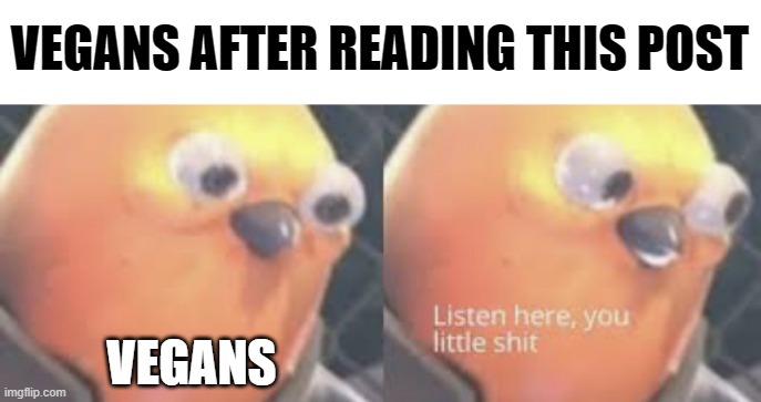 VEGANS AFTER READING THIS POST VEGANS | image tagged in listen here you little shit bird | made w/ Imgflip meme maker
