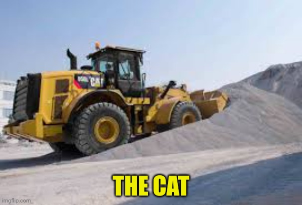 THE CAT | made w/ Imgflip meme maker