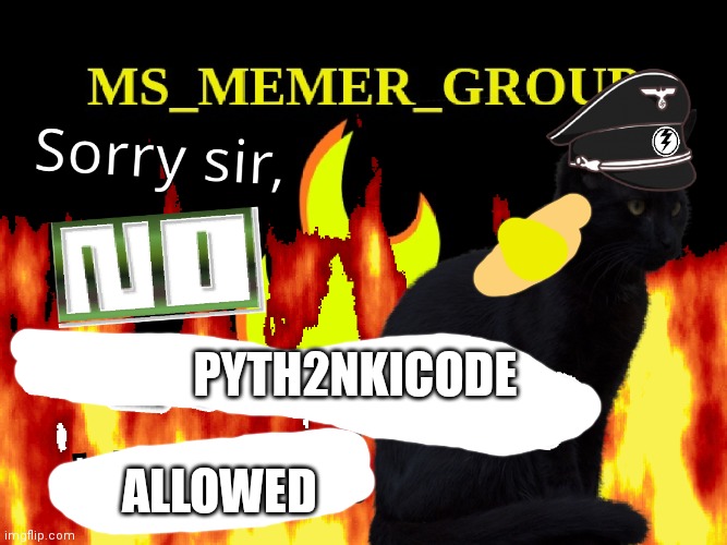 PYTH2NKICODE; ALLOWED | image tagged in sorry sir no ms_memer_group users | made w/ Imgflip meme maker