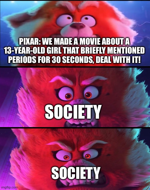 Why do people hate teenage girls so much? |  PIXAR: WE MADE A MOVIE ABOUT A 13-YEAR-OLD GIRL THAT BRIEFLY MENTIONED PERIODS FOR 30 SECONDS, DEAL WITH IT! SOCIETY; SOCIETY | image tagged in turning red,sexism | made w/ Imgflip meme maker