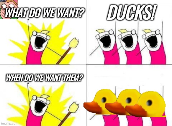 QUACC | WHAT DO WE WANT? DUCKS! WHEN DO WE WANT THEM? | image tagged in memes,what do we want | made w/ Imgflip meme maker