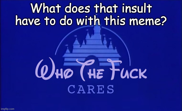 Disney Who Cares | What does that insult have to do with this meme? | image tagged in disney who cares | made w/ Imgflip meme maker