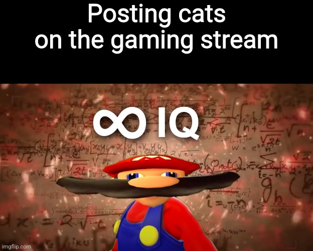 Infinite IQ Mario | Posting cats on the gaming stream | image tagged in infinite iq mario | made w/ Imgflip meme maker