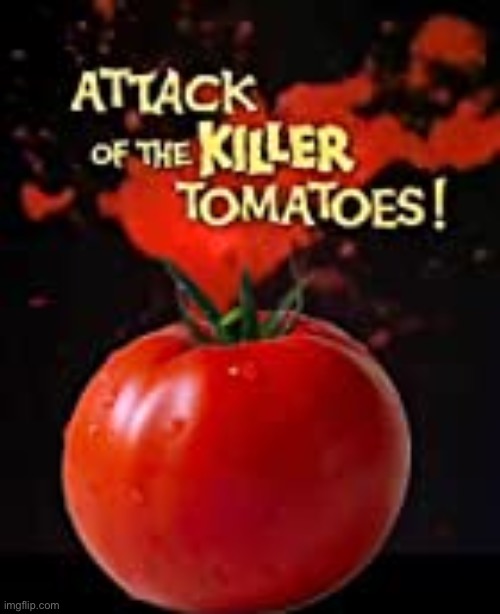 Killer tomatoes | image tagged in killer tomatoes | made w/ Imgflip meme maker