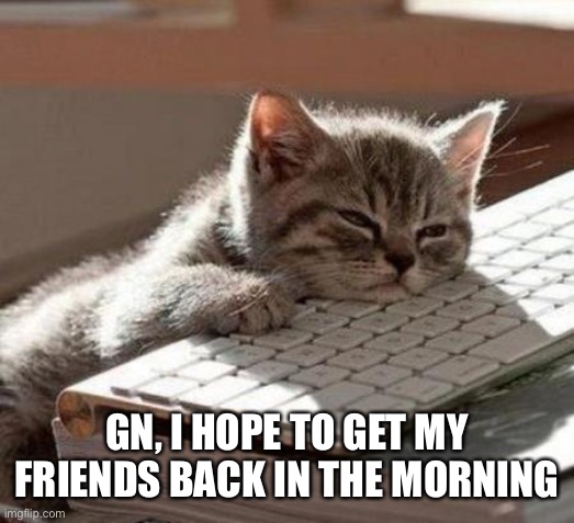 tired cat | GN, I HOPE TO GET MY FRIENDS BACK IN THE MORNING | image tagged in tired cat | made w/ Imgflip meme maker
