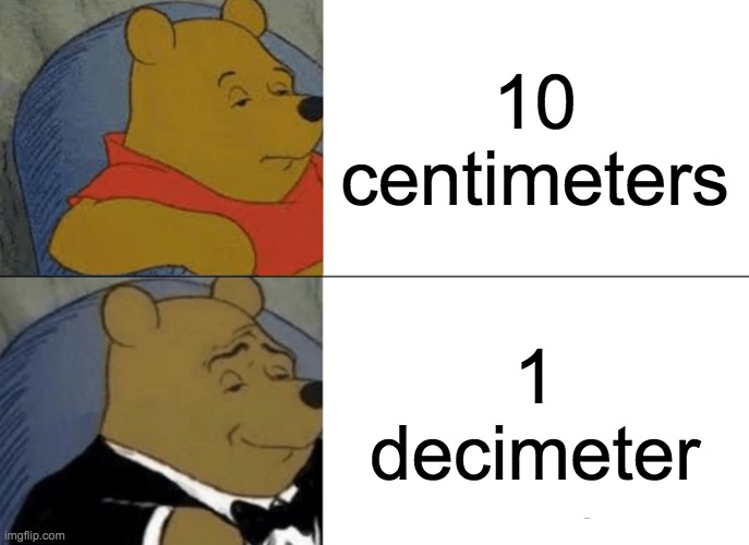 Tuxedo Winnie The Pooh | 10 centimeters; 1 decimeter | image tagged in memes,tuxedo winnie the pooh | made w/ Imgflip meme maker