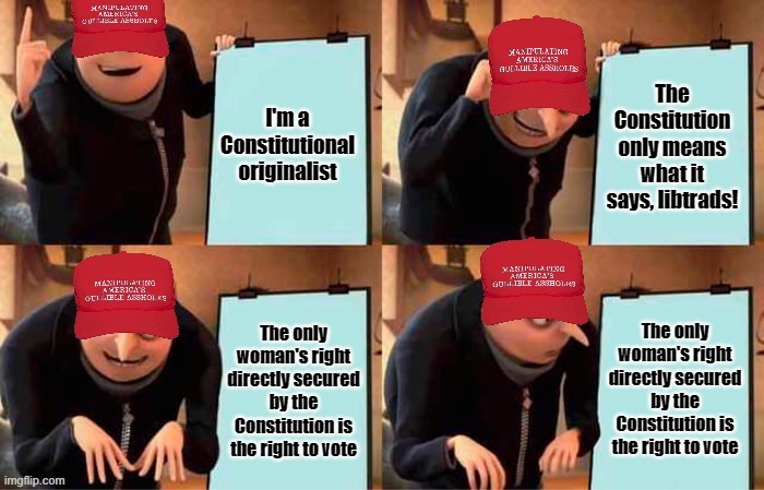 MAGA Gru’s plan | I'm a Constitutional originalist; The Constitution only means what it says, libtrads! The only woman's right directly secured by the Constitution is the right to vote; The only woman's right directly secured by the Constitution is the right to vote | image tagged in maga gru s plan | made w/ Imgflip meme maker