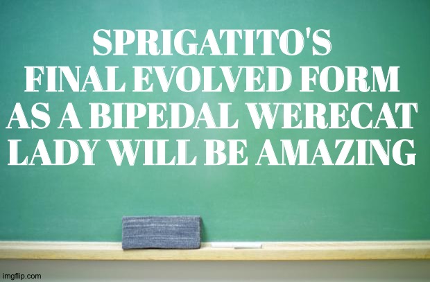 blank chalkboard | SPRIGATITO'S FINAL EVOLVED FORM AS A BIPEDAL WERECAT LADY WILL BE AMAZING | image tagged in blank chalkboard | made w/ Imgflip meme maker