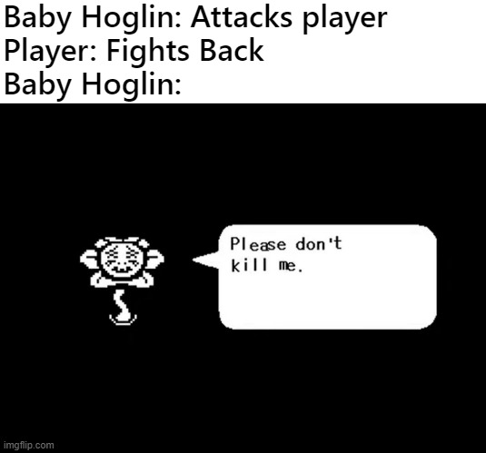 *Kills.mp4* | Baby Hoglin: Attacks player
Player: Fights Back
Baby Hoglin: | image tagged in please don't kill me,flowey,undertale,minecraft,hoglin | made w/ Imgflip meme maker
