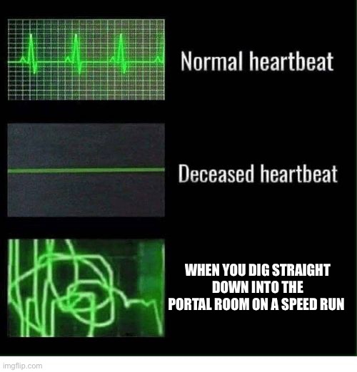 help | WHEN YOU DIG STRAIGHT DOWN INTO THE PORTAL ROOM ON A SPEED RUN | image tagged in normal heartbeat deceased heartbeat | made w/ Imgflip meme maker