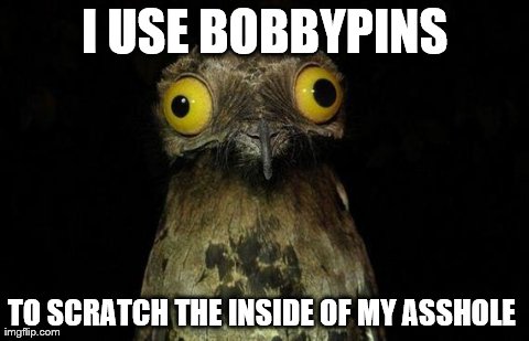 Weird Stuff I Do Potoo | I USE BOBBYPINS TO SCRATCH THE INSIDE OF MY ASSHOLE | image tagged in memes,weird stuff i do potoo | made w/ Imgflip meme maker