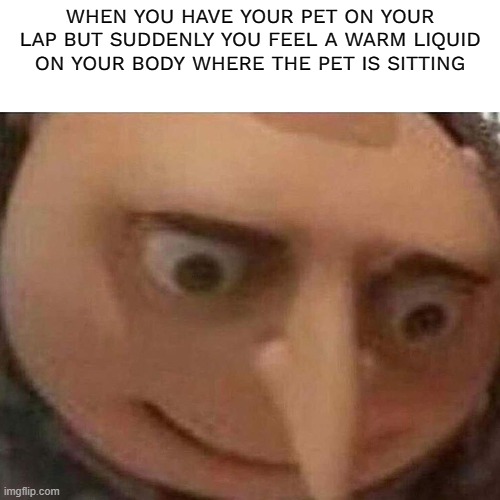 pet | WHEN YOU HAVE YOUR PET ON YOUR LAP BUT SUDDENLY YOU FEEL A WARM LIQUID ON YOUR BODY WHERE THE PET IS SITTING | image tagged in pet,uh oh gru | made w/ Imgflip meme maker
