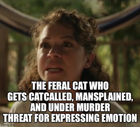 Triggered Feminist She Hulk | THE FERAL CAT WHO GETS CATCALLED, MANSPLAINED, AND UNDER MURDER THREAT FOR EXPRESSING EMOTION | image tagged in triggered feminist she hulk | made w/ Imgflip meme maker