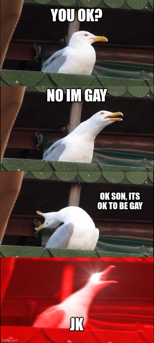 Inhaling Seagull Meme | YOU OK? NO IM GAY; OK SON, ITS OK TO BE GAY; JK | image tagged in memes,inhaling seagull | made w/ Imgflip meme maker