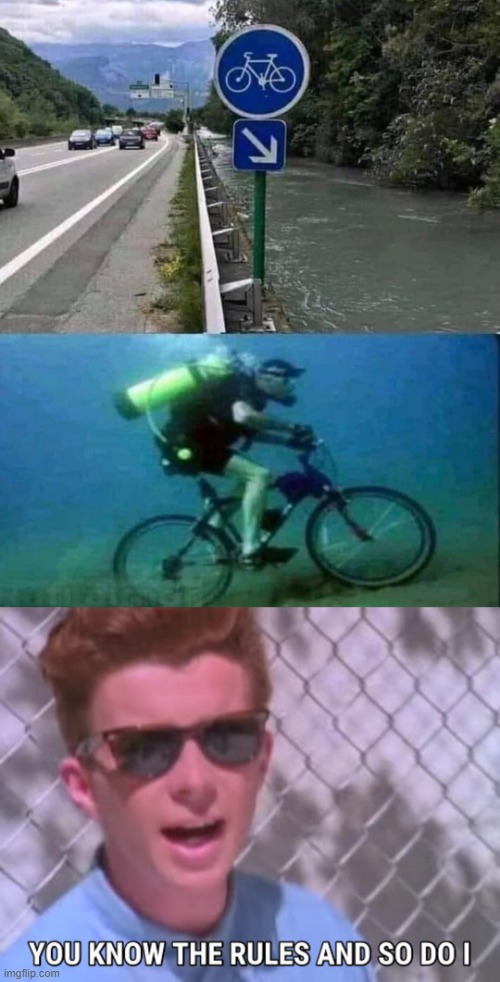 you know the rules | image tagged in rick astley you know the rules | made w/ Imgflip meme maker