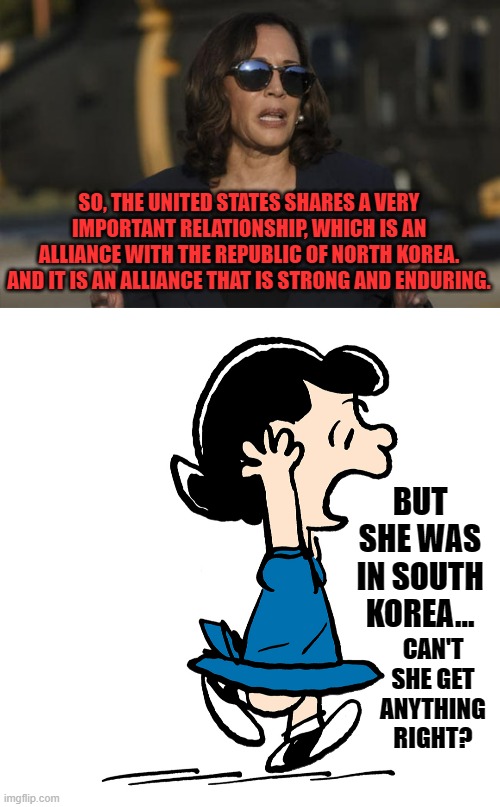 Dazed And Confused | SO, THE UNITED STATES SHARES A VERY IMPORTANT RELATIONSHIP, WHICH IS AN ALLIANCE WITH THE REPUBLIC OF NORTH KOREA. AND IT IS AN ALLIANCE THAT IS STRONG AND ENDURING. BUT SHE WAS IN SOUTH KOREA... CAN'T SHE GET ANYTHING RIGHT? | image tagged in memes,politics,kamala harris,north korea,not,south korea | made w/ Imgflip meme maker