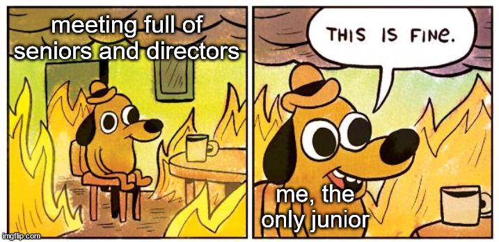 Newbies lives matters |  meeting full of seniors and directors; me, the only junior | image tagged in memes,this is fine,software,development,corporations | made w/ Imgflip meme maker