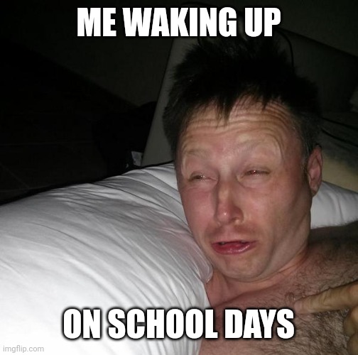 Limmy waking up | ME WAKING UP; ON SCHOOL DAYS | image tagged in limmy waking up | made w/ Imgflip meme maker