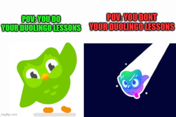 duoligo bird can become super duoling?!?!?!?!? | POV: YOU DONT YOUR DUOLINGO LESSONS; POV: YOU DO YOUR DUOLINGO LESSONS | image tagged in duolingo bird | made w/ Imgflip meme maker