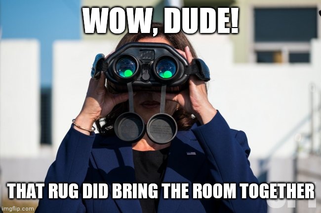 Kamala Is Stoned | WOW, DUDE! THAT RUG DID BRING THE ROOM TOGETHER | image tagged in north korea,rocket man,alies,buddies,special kind of stupid,25th admendment really | made w/ Imgflip meme maker