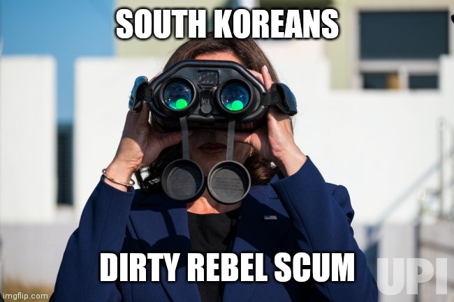The North is always the good guys, right? | SOUTH KOREANS; DIRTY REBEL SCUM | image tagged in confused,stupid,stoned,japanese,food,mash | made w/ Imgflip meme maker