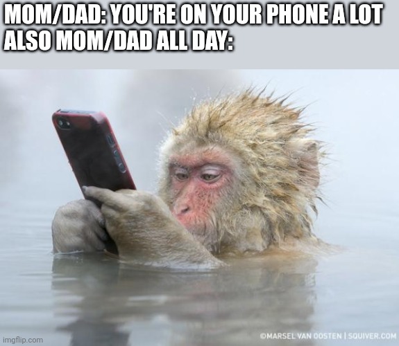 Well... | MOM/DAD: YOU'RE ON YOUR PHONE A LOT
ALSO MOM/DAD ALL DAY: | image tagged in monkey mobile phone,memes,mom,dad,phone | made w/ Imgflip meme maker