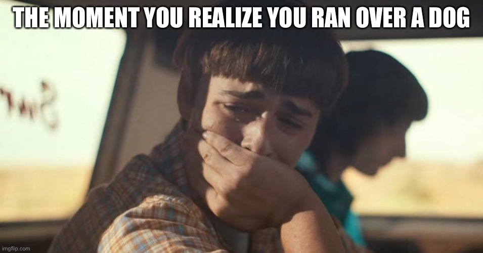 will byers crying | THE MOMENT YOU REALIZE YOU RAN OVER A DOG | image tagged in will byers crying | made w/ Imgflip meme maker
