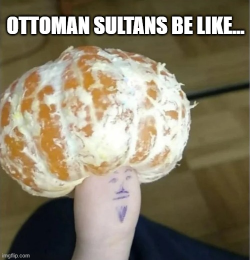 Turkiye | OTTOMAN SULTANS BE LIKE... | image tagged in history memes | made w/ Imgflip meme maker