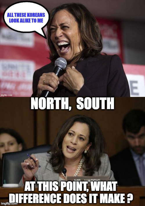 What difference does it make that Kamala is an IDIOT? | NORTH,  SOUTH; AT THIS POINT, WHAT DIFFERENCE DOES IT MAKE ? | image tagged in kamala harris,tks american viking | made w/ Imgflip meme maker