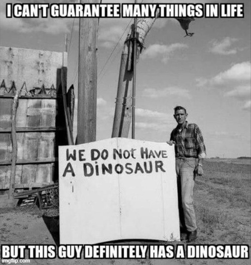 image tagged in memes | made w/ Imgflip meme maker