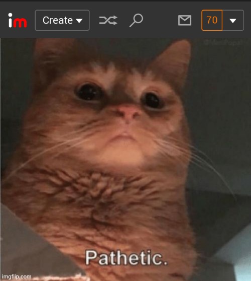 image tagged in pathetic cat | made w/ Imgflip meme maker