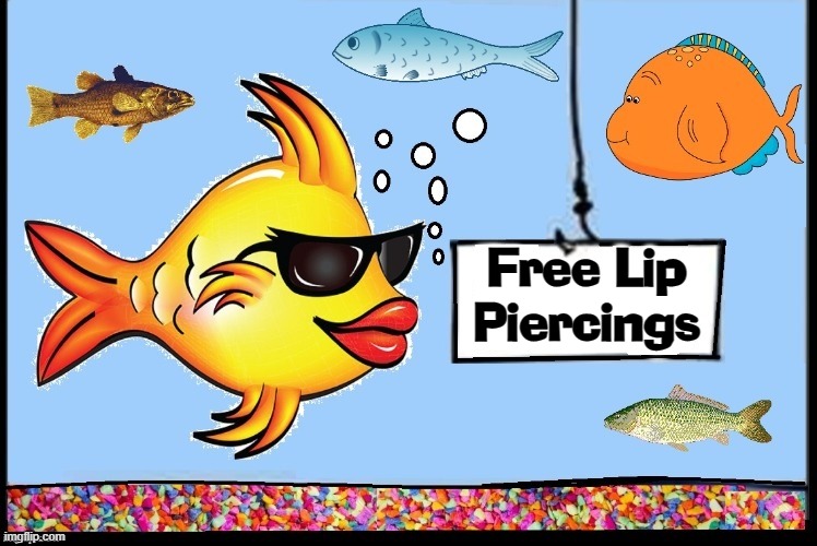 Free Lip
Piercings | image tagged in vince vance,salt water,aquarium,fish tank,memes,pets | made w/ Imgflip meme maker