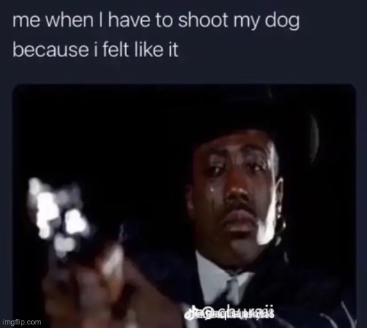 ? | image tagged in dog | made w/ Imgflip meme maker