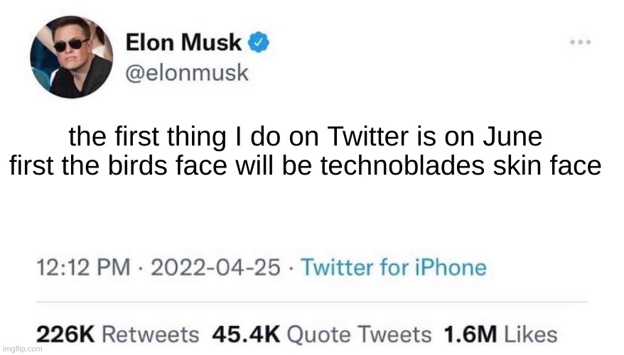 les goooo |  the first thing I do on Twitter is on June first the birds face will be technoblades skin face | image tagged in elon musk buying twitter,technoblade | made w/ Imgflip meme maker