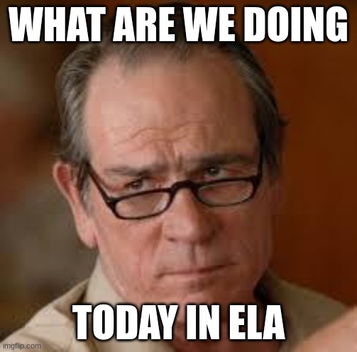 my face when someone asks a stupid question | WHAT ARE WE DOING; TODAY IN ELA | image tagged in my face when someone asks a stupid question | made w/ Imgflip meme maker