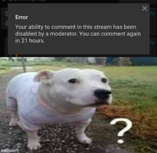 I didn't even get any comments deleted or nothing it just happened | image tagged in dog question mark | made w/ Imgflip meme maker