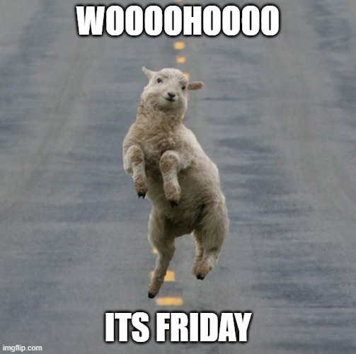 Friday | WOOOOHOOOO; ITS FRIDAY | image tagged in friday | made w/ Imgflip meme maker