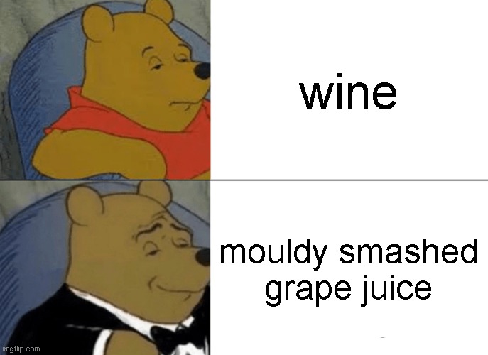 classy | wine; mouldy smashed grape juice | image tagged in memes,tuxedo winnie the pooh | made w/ Imgflip meme maker