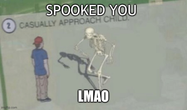 Boo. | SPOOKED YOU; LMAO | image tagged in casually approach child | made w/ Imgflip meme maker
