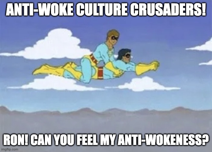 Ace and Gary | ANTI-WOKE CULTURE CRUSADERS! RON! CAN YOU FEEL MY ANTI-WOKENESS? | image tagged in ace and gary | made w/ Imgflip meme maker