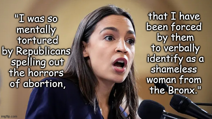 AOC Bonding with Her Constituents. | that I have 
been forced 
by them
to verbally
 identify as a 
shameless 
woman from 
the Bronx."; "I was so 
mentally 
tortured
by Republicans 
spelling out
the horrors 
of abortion, | image tagged in memes,politics | made w/ Imgflip meme maker
