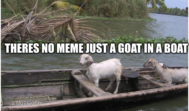 goat on a boat | THERES NO MEME JUST A GOAT IN A BOAT | image tagged in goats | made w/ Imgflip meme maker