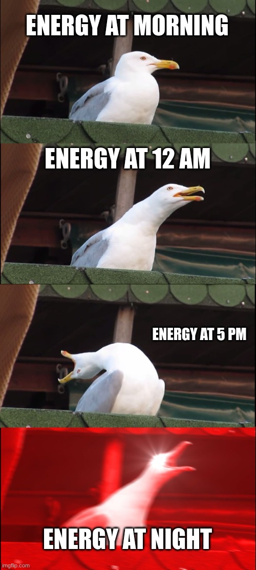 Inhaling Seagull | ENERGY AT MORNING; ENERGY AT 12 AM; ENERGY AT 5 PM; ENERGY AT NIGHT | image tagged in memes,inhaling seagull | made w/ Imgflip meme maker