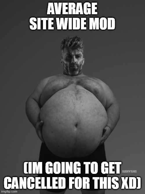 Fat Giga Chad | AVERAGE SITE WIDE MOD (IM GOING TO GET CANCELLED FOR THIS XD) | image tagged in fat giga chad | made w/ Imgflip meme maker