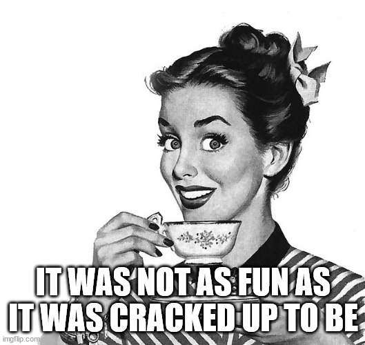 Retro woman teacup | IT WAS NOT AS FUN AS IT WAS CRACKED UP TO BE | image tagged in retro woman teacup | made w/ Imgflip meme maker