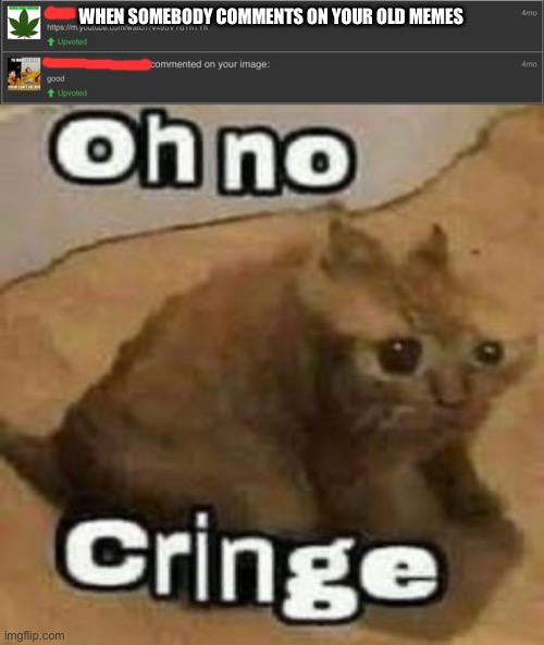 When somebody comments on your old memes |  WHEN SOMEBODY COMMENTS ON YOUR OLD MEMES | image tagged in oh no cringe,cringe,dies from cringe,old memes | made w/ Imgflip meme maker