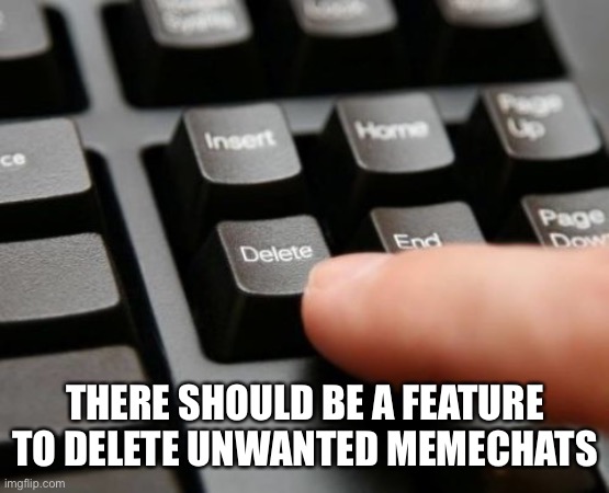 Delete | THERE SHOULD BE A FEATURE TO DELETE UNWANTED MEMECHATS | image tagged in delete | made w/ Imgflip meme maker